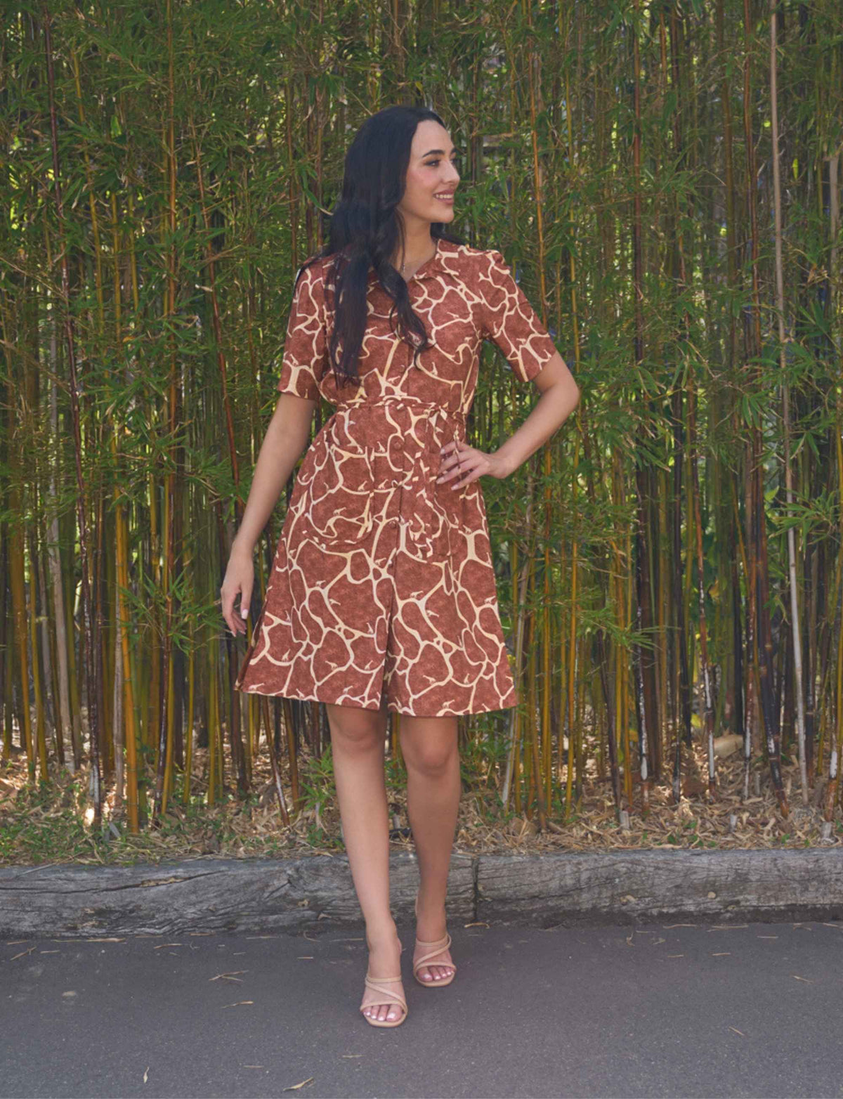 Tambi 'Giraffe Walk' Collared Shirtdress FINAL SALE