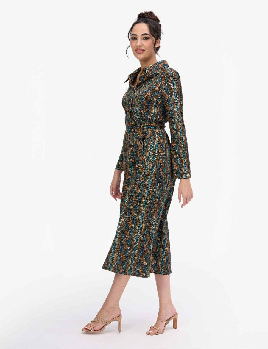 Fiona 'Snake Charmer' A-Line Shirtdress NEW ARRIVAL