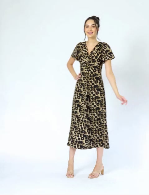 Jena 'Animal Print' V-Neck Empire Dress