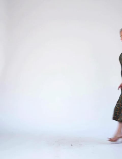 Fiona 'Snake Charmer' A-Line Shirtdress NEW ARRIVAL