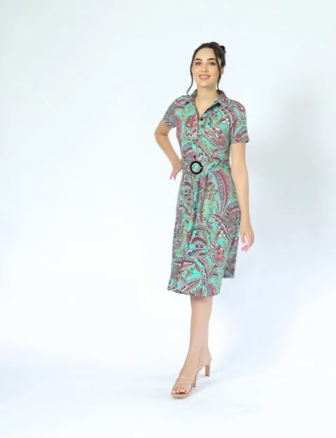Sammy 'Grand Bazaar' Fit and Flare Shirt Dress